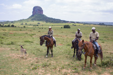 South Africa-Waterberg-Waterberg Big 5 Adventure